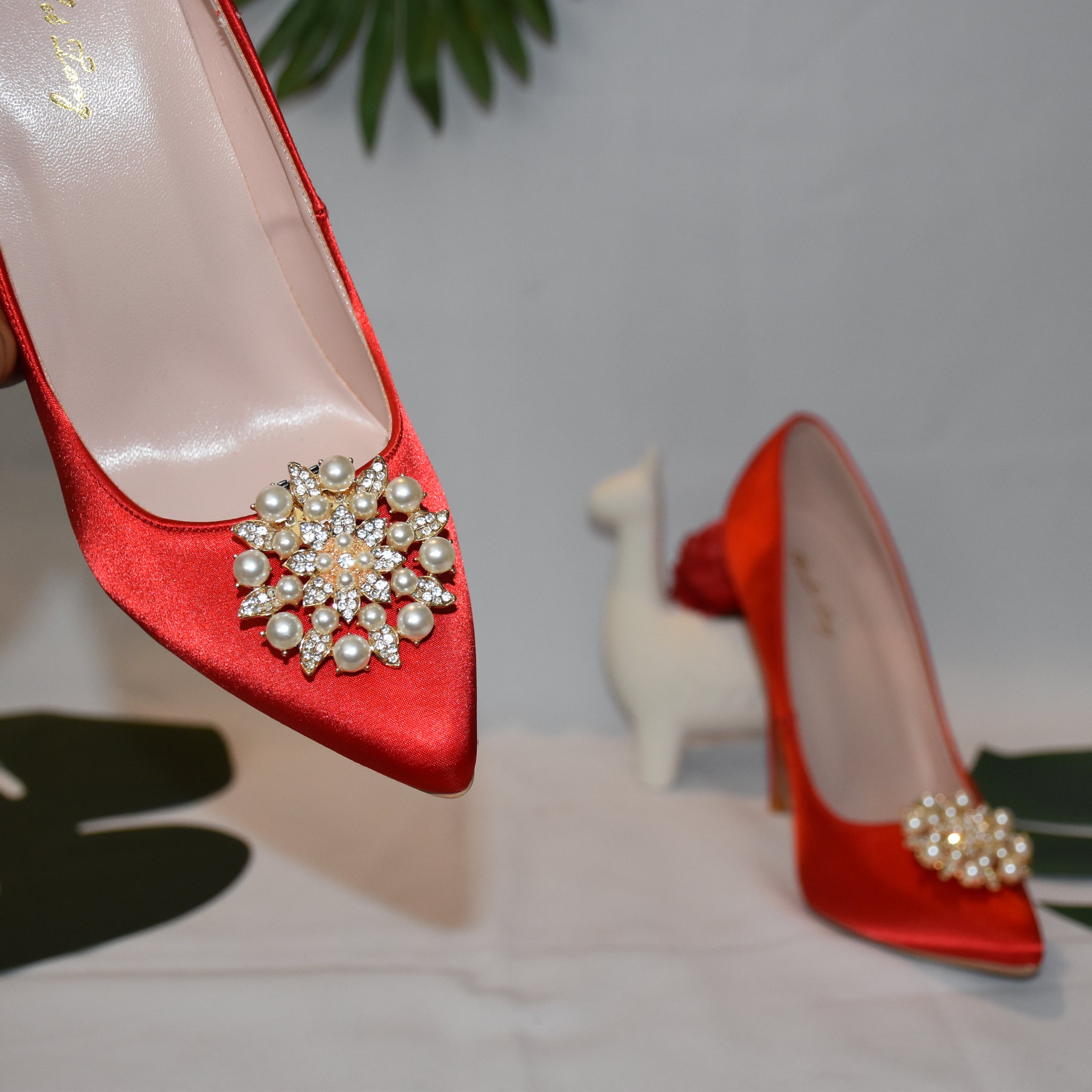 Detachable Shoe clip
